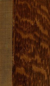 La guerre injuste: lettres d'un Espagnol